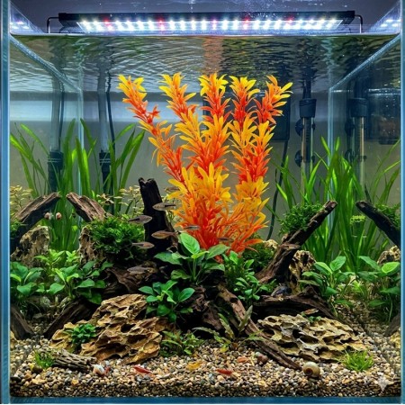 PLANTE FEUILLUE ORANGE ET ROUGE 30 CM