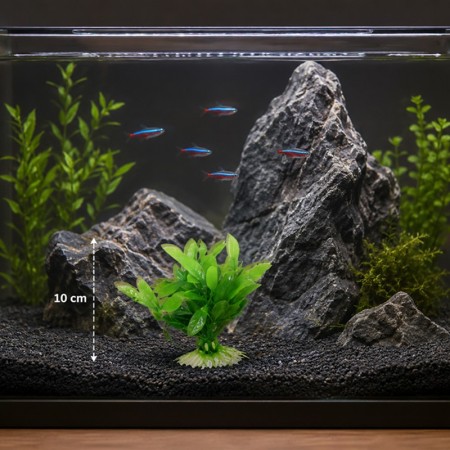 PLANTE PLASTIC VERT CRYPTO 10 CM