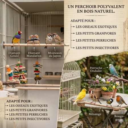 PERCHOIR EN BOIS / EXOTIQUE - 120CM X DIAM 12 MM