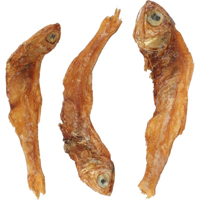 POISSONS SÉCHÉS - 50GRS