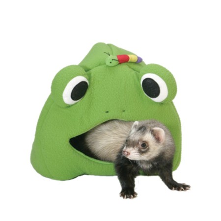 JOUET FURET - GRENOUILLE LODGE