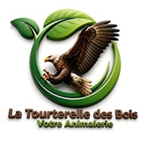 La Tourterelle des Bois