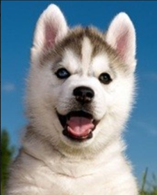 Le site fait peau neuve